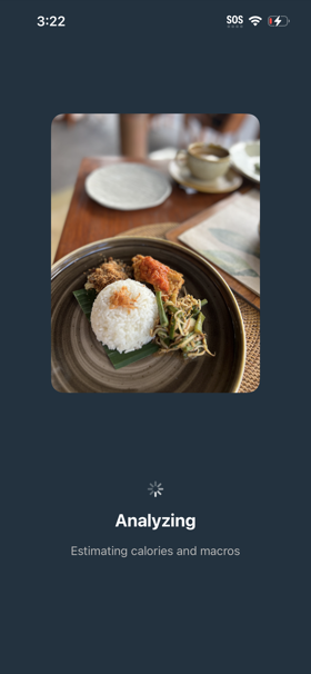 Analyzing meal screenshot